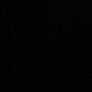 Meet your Posher, Trisha